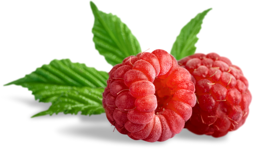 A Pair Of Raspberries