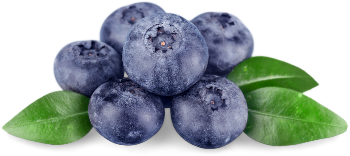 Blueberries with Leaves